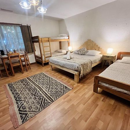 Alma Nativa Hostel Pucon Ngoại thất bức ảnh