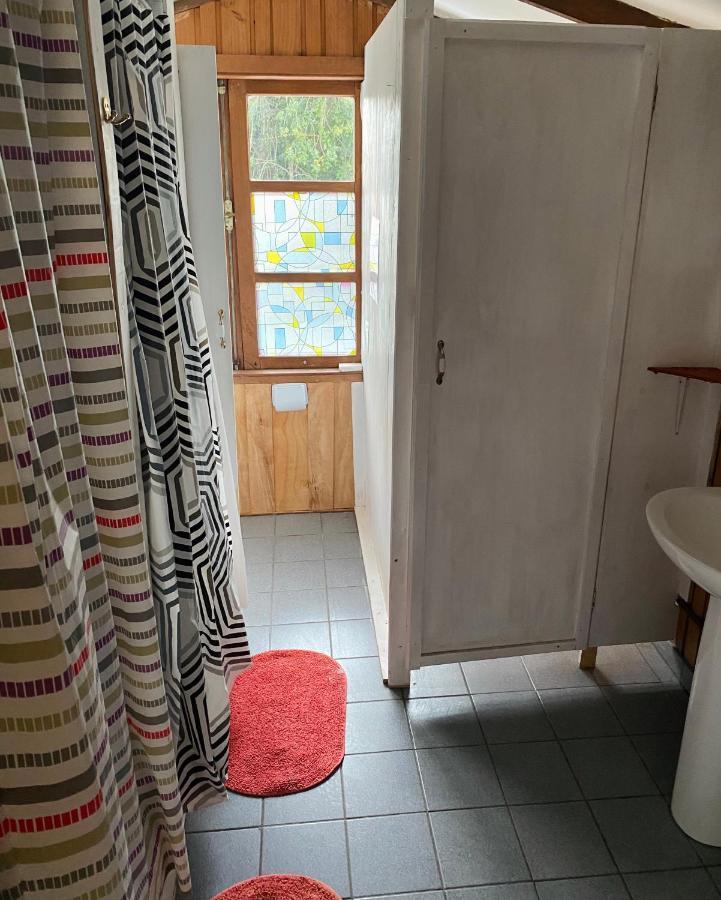 Alma Nativa Hostel Pucon Ngoại thất bức ảnh