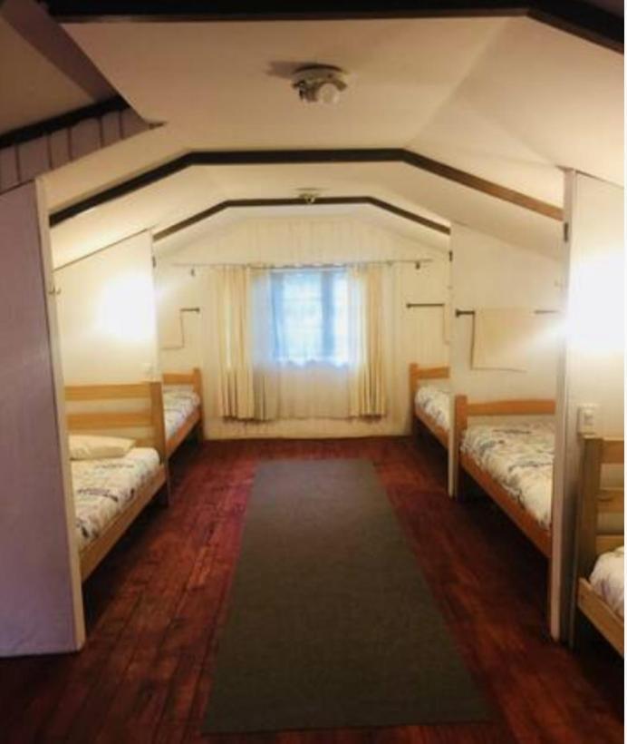 Alma Nativa Hostel Pucon Ngoại thất bức ảnh