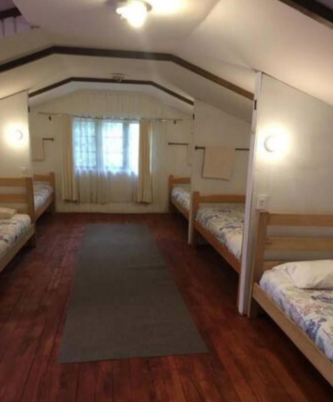 Alma Nativa Hostel Pucon Ngoại thất bức ảnh
