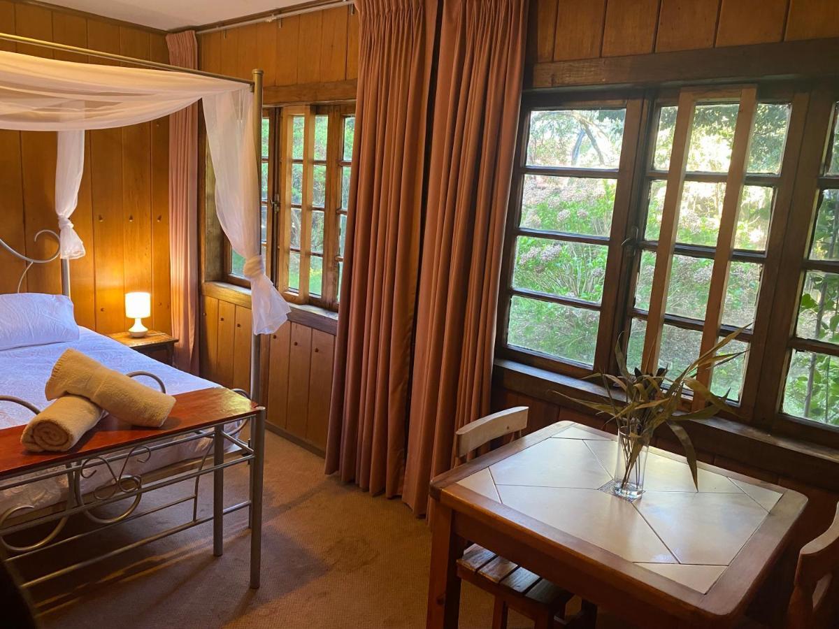 Alma Nativa Hostel Pucon Ngoại thất bức ảnh