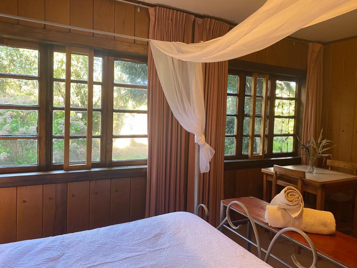 Alma Nativa Hostel Pucon Ngoại thất bức ảnh