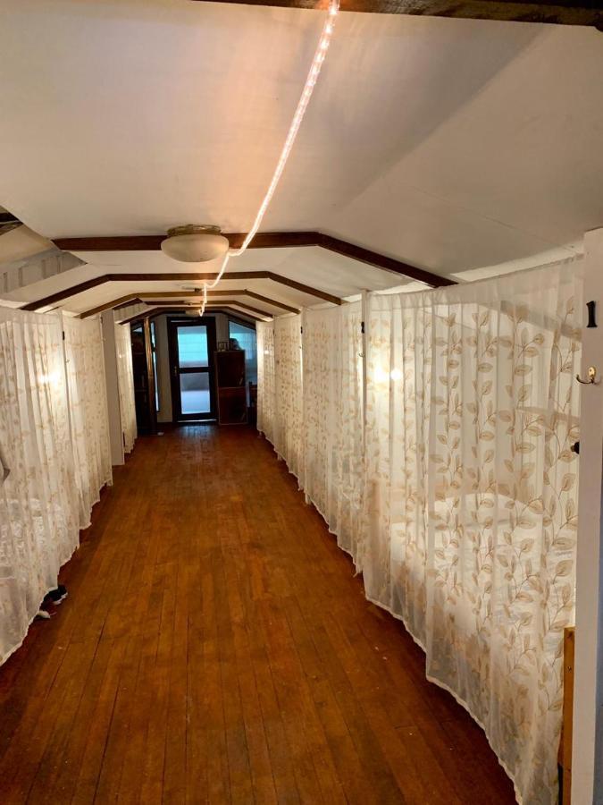 Alma Nativa Hostel Pucon Ngoại thất bức ảnh