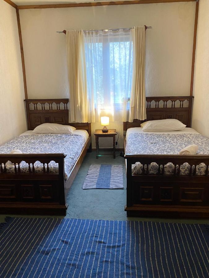 Alma Nativa Hostel Pucon Ngoại thất bức ảnh