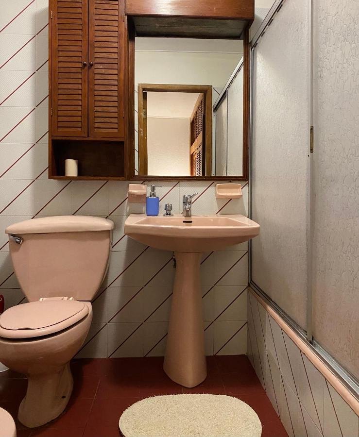 Alma Nativa Hostel Pucon Ngoại thất bức ảnh