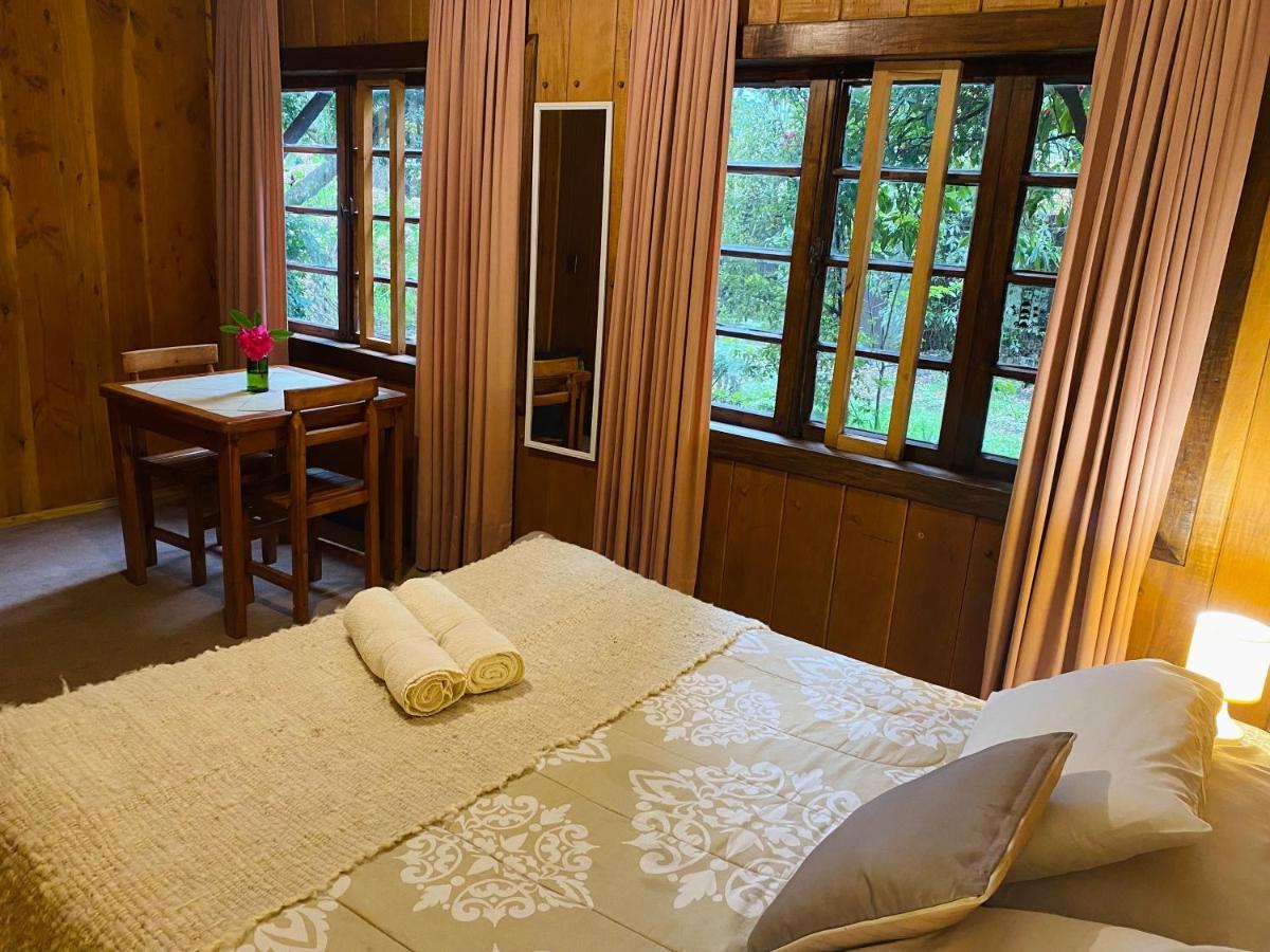 Alma Nativa Hostel Pucon Ngoại thất bức ảnh