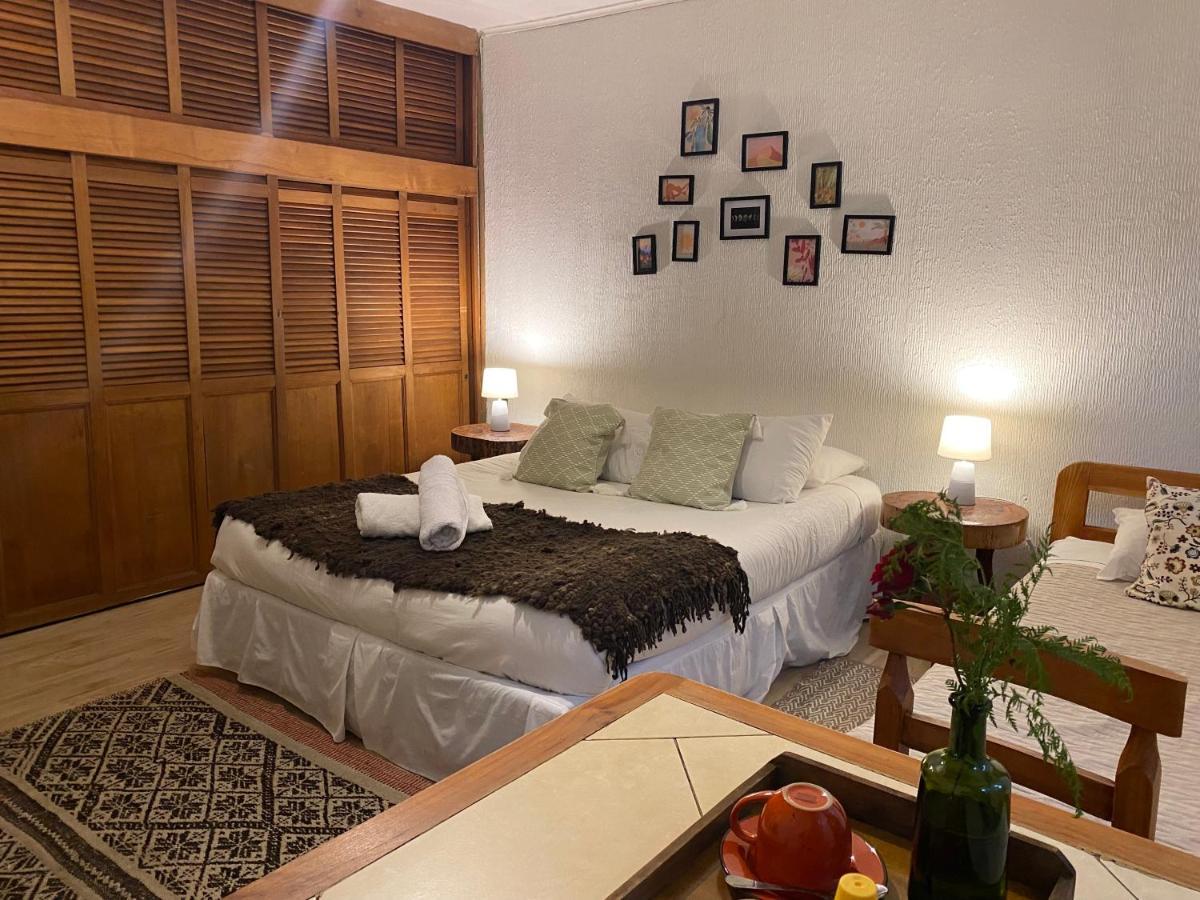 Alma Nativa Hostel Pucon Ngoại thất bức ảnh
